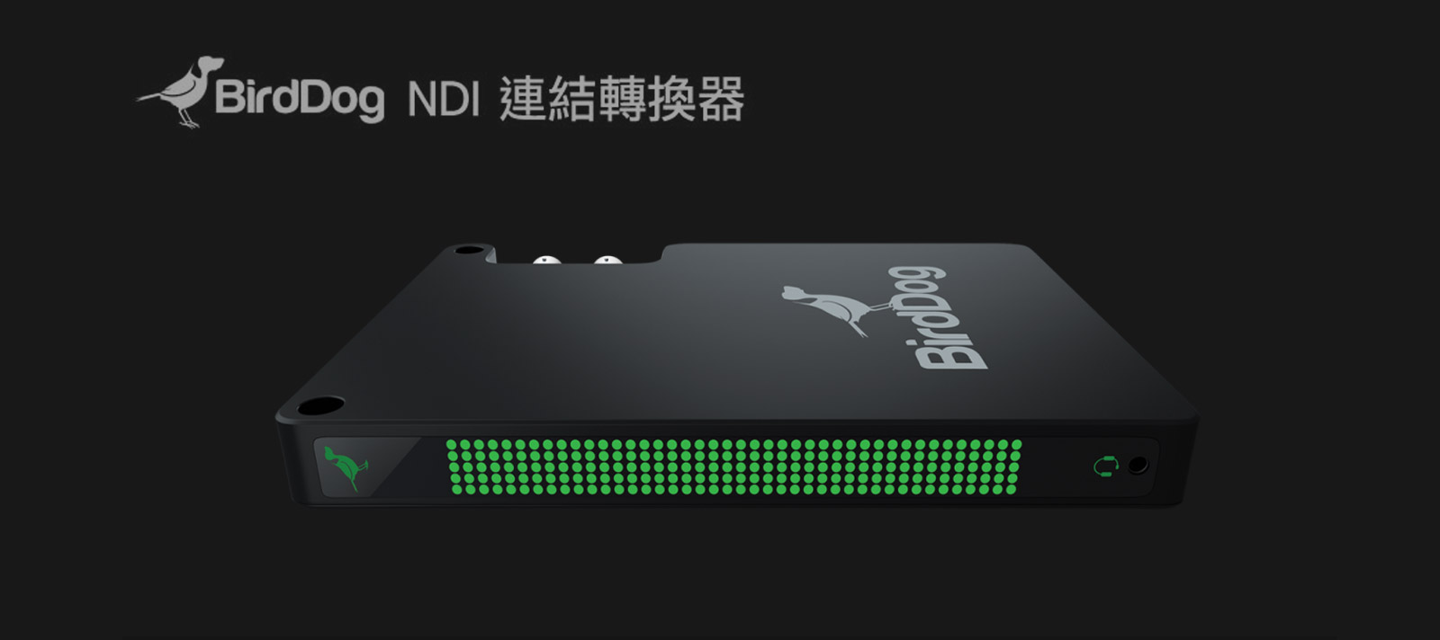 BirdDog Studio NDI 影音網路 NDI 連結轉換器